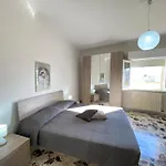 La Casa Di Carta * ガリポリ